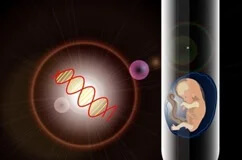 Embryo Adoption