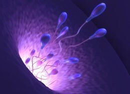 Surgical Sperm Retrieval (PESA / MESA / TESA / TESE)